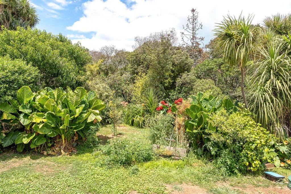 Oneroa Bay Villa Waiheke Extérieur photo