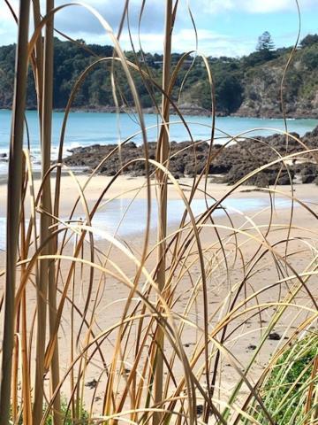 Oneroa Bay Villa Waiheke Extérieur photo